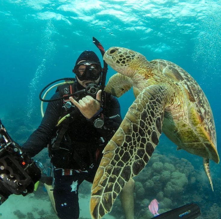 Conscious Eco-Tourism Underwater Expedition